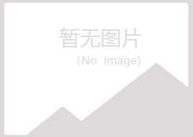 巫山县浮夸能源有限公司